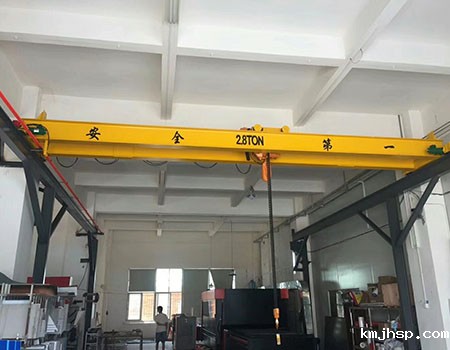 嘉兴低净空电动葫芦