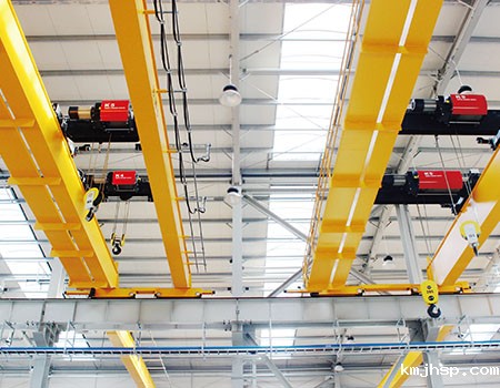 嘉兴电动欧式起重机