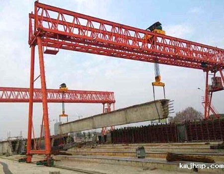 嘉兴简易提梁机