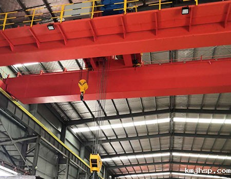 温州欧式双梁起重机